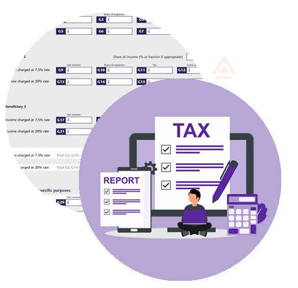 Tax Return reports